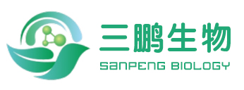 公司新闻